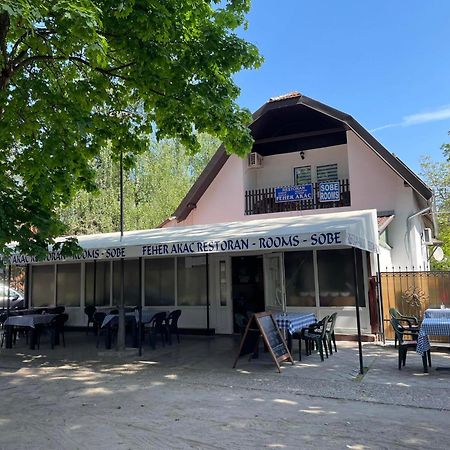 Feher Akac Guest House Palic Luaran gambar